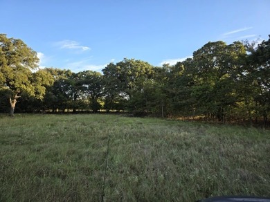 Highlights: - over 35 acres of gently rolling pastureland - photo 20