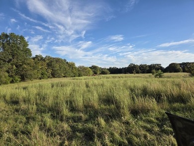 Highlights: - over 35 acres of gently rolling pastureland - photo 22