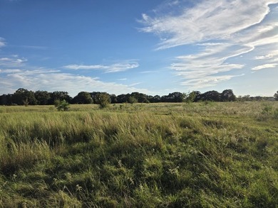 Highlights: - over 35 acres of gently rolling pastureland - photo 23