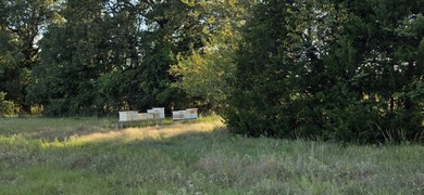 Highlights: - over 35 acres of gently rolling pastureland - photo 24