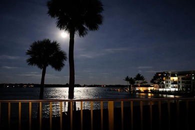 Stunning Intracoastal views from this beautifully updated - photo 32
