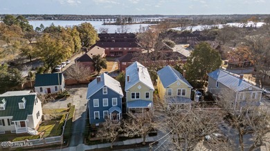 Step into timeless charm with this beautifully updated historic - photo 42