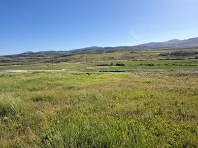 The Paris Peak & Picnic Retreat lot (Lot #3)! 2.7 acres of a - photo 2