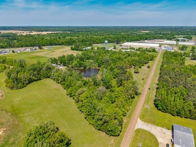 ?? Prime Land Opportunity - Noseff Dr, Batesville Discover the - photo 6