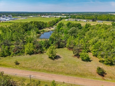 ?? Prime Land Opportunity - Noseff Dr, Batesville Discover the - photo 7