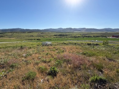 The Paris Peak & Picnic Retreat lot (Lot #3)! 2.7 acres of a - photo 9
