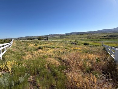The Paris Peak & Picnic Retreat lot (Lot #3)! 2.7 acres of a - photo 10