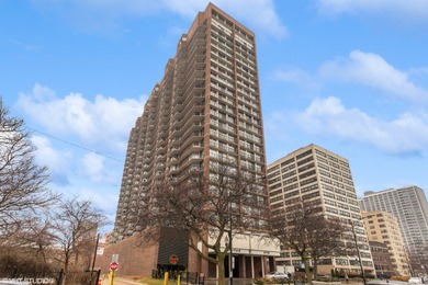 Lake Michigan - Cook County Condo For Sale in Chicago Illinois