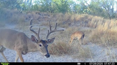 (private lake, pond, creek) Acreage For Sale in Fowlerton Texas