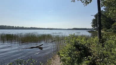 Come build your dream home or camp on this stunning 153-acre lot - photo 11
