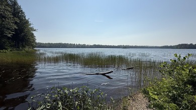 Come build your dream home or camp on this stunning 153-acre lot - photo 12