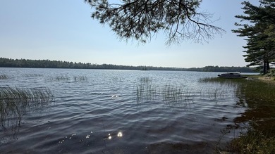 Come build your dream home or camp on this stunning 153-acre lot - photo 13