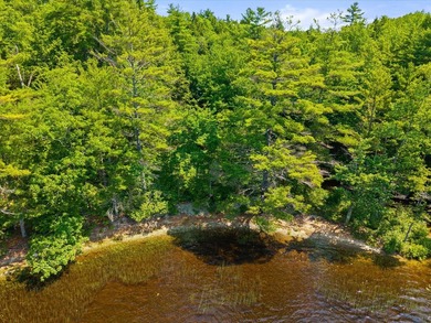 Come build your dream home or camp on this stunning 153-acre lot - photo 14