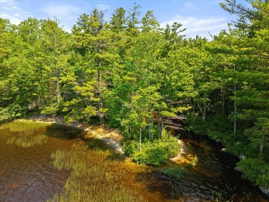 Come build your dream home or camp on this stunning 153-acre lot - photo 15