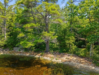 Come build your dream home or camp on this stunning 153-acre lot - photo 16