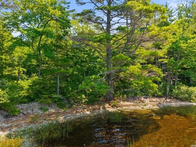 Come build your dream home or camp on this stunning 153-acre lot - photo 17