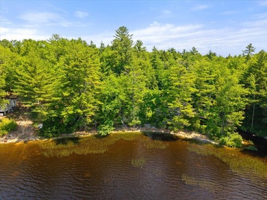 Come build your dream home or camp on this stunning 153-acre lot - photo 18