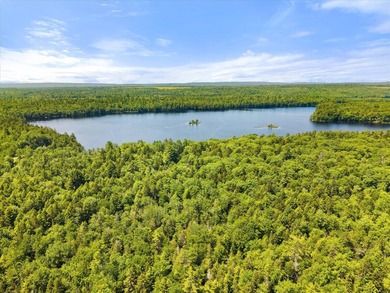 Come build your dream home or camp on this stunning 153-acre lot - photo 22