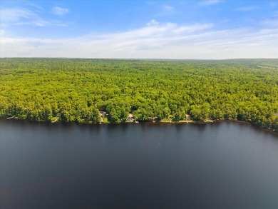 Come build your dream home or camp on this stunning 153-acre lot - photo 26