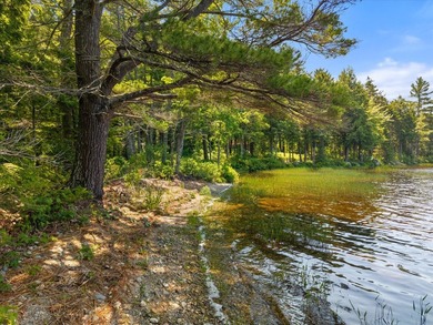 Come build your dream home or camp on this stunning 153-acre lot - photo 28