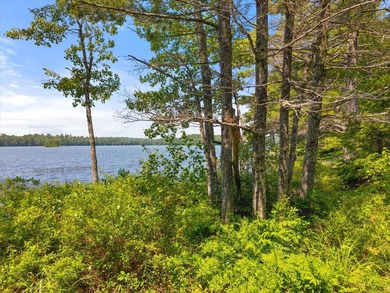 Come build your dream home or camp on this stunning 153-acre lot - photo 29