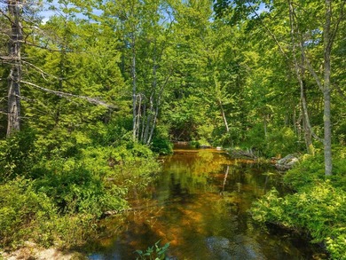 Come build your dream home or camp on this stunning 153-acre lot - photo 30