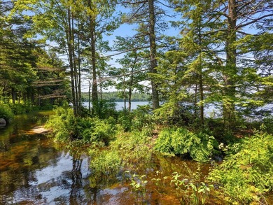 Come build your dream home or camp on this stunning 153-acre lot - photo 31