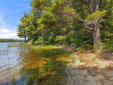 Come build your dream home or camp on this stunning 153-acre lot - photo 32