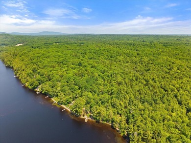 Come build your dream home or camp on this stunning 153-acre lot - photo 33