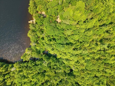 Come build your dream home or camp on this stunning 153-acre lot - photo 35