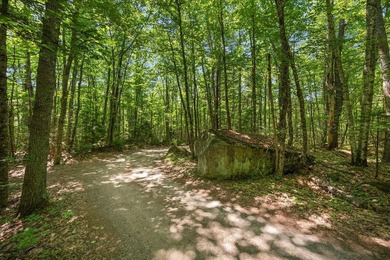 Come build your dream home or camp on this stunning 153-acre lot - photo 36