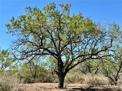 (private lake, pond, creek) Acreage Sale Pending in  Texas