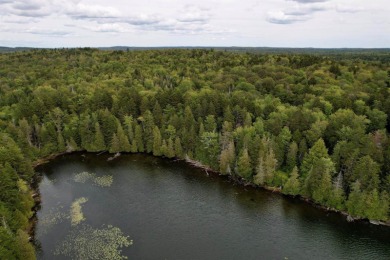 Indian Lake Acreage For Sale in Whiting Maine