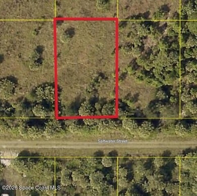 Build your future on this 0.23-acre residential lot measuring 80 - photo 1