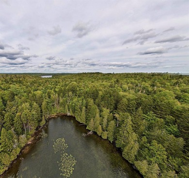 Not only does this property offer a serene spot to build your - photo 2
