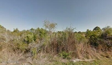 Build your future on this 0.23-acre residential lot measuring 80 - photo 3