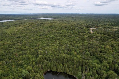Not only does this property offer a serene spot to build your - photo 4