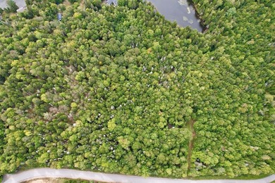 Not only does this property offer a serene spot to build your - photo 6