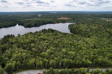 Not only does this property offer a serene spot to build your - photo 8