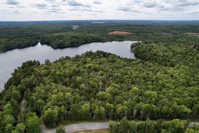 Not only does this property offer a serene spot to build your - photo 9