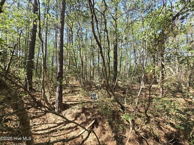 RARE OPPORTUNITY to acquire one, or all, 19 parcels in the heart - photo 3