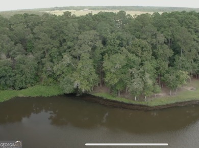 Lake Lot For Sale in Vienna, Georgia