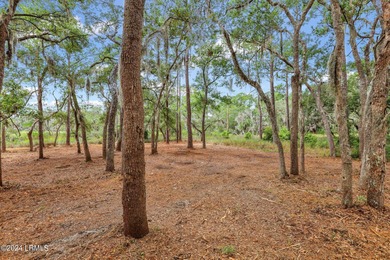 Priced to sell! This beautiful .18-acre lot offers stunning - photo 12