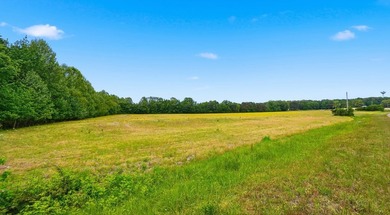 Never before offered on the market, this 21.103-acre tract - photo 19