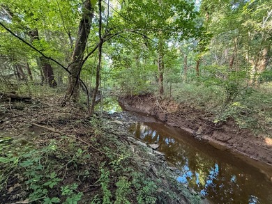 Introducing Tract 9: With mature timber, Sassafras Creek, and 10 - photo 22
