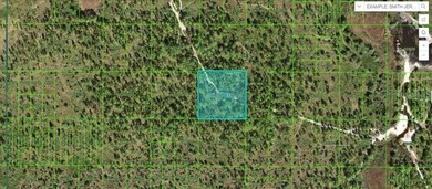 Reedy Lake Acreage For Sale in Frostproof Florida
