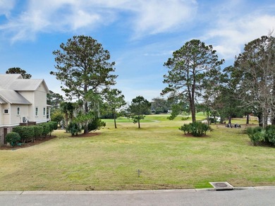 Beautiful home in Kiawah River Estates featuring a stunning - photo 41