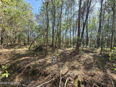 RARE OPPORTUNITY to acquire one, or all, 19 parcels in the heart - photo 3