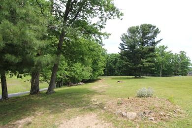 One story house on 2 +/- acres offering a convenient layout that - photo 31