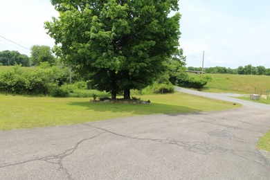 One story house on 2 +/- acres offering a convenient layout that - photo 33